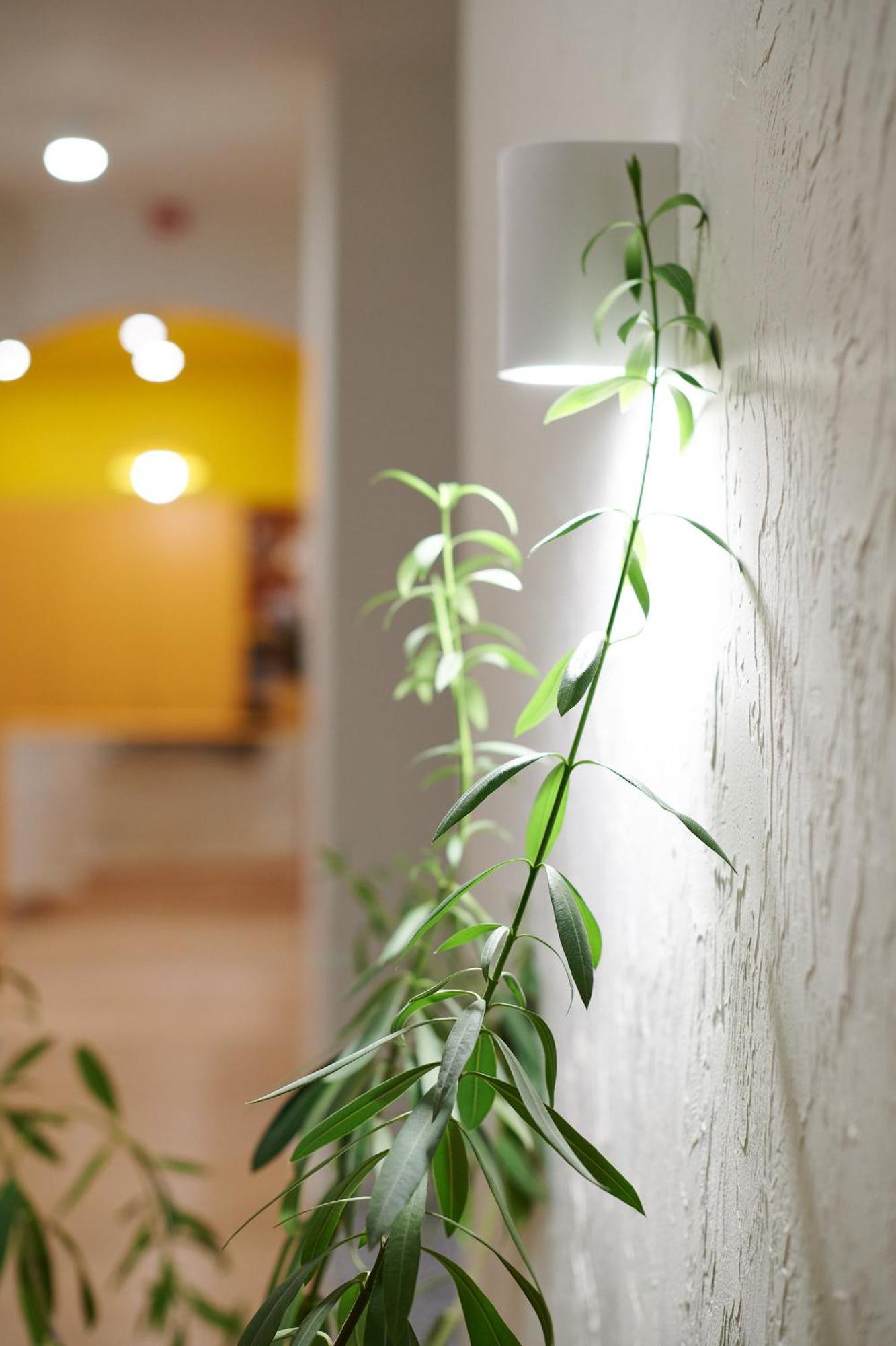 Lama Hostel Iwano-Frankiwsk Zewnętrze zdjęcie