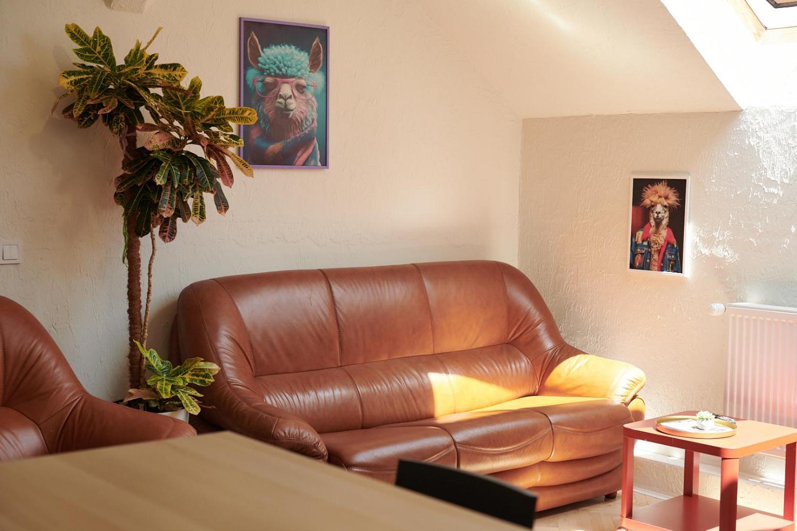 Lama Hostel Iwano-Frankiwsk Zewnętrze zdjęcie