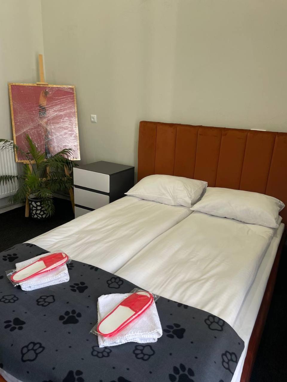 Lama Hostel Iwano-Frankiwsk Zewnętrze zdjęcie