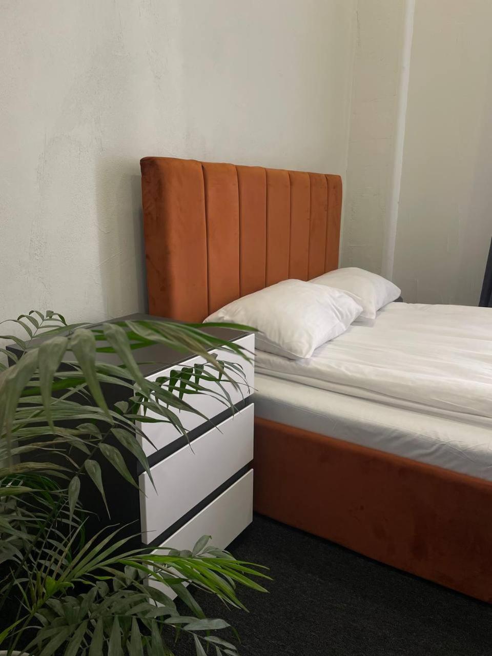 Lama Hostel Iwano-Frankiwsk Zewnętrze zdjęcie